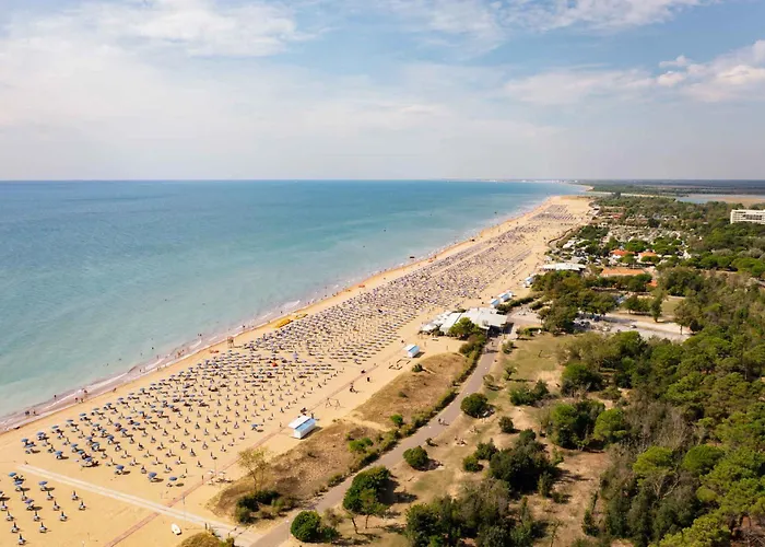 In 54739 * Bibione
